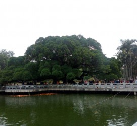 新沂福州旅游攻略(福州旅游攻略二日游)