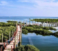 新沂旅游哪里好玩(云南旅游哪里好玩)