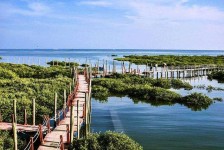 新沂旅游哪里好玩(云南旅游哪里好玩)