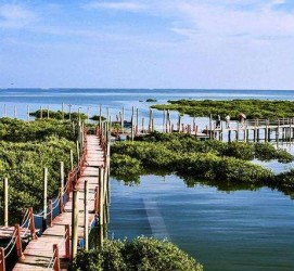 新沂旅游哪里好玩(云南旅游哪里好玩)