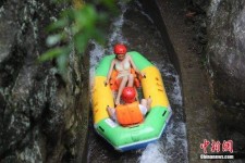 新沂伴游中国三亚(三亚结伴旅游网)