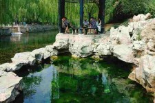 新沂济南旅游攻略(青岛威海济南旅游攻略)