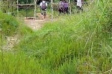 新沂苍溪学生做伴游兼职(苍溪学生做伴游兼职怎么样)