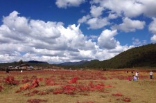 新沂旅游去处(暑期最好的旅游去处)