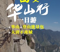 新沂一日游(一日游需要准备些什么东西?)