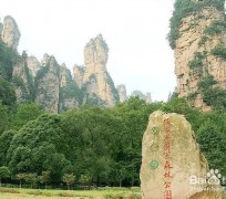 新沂自驾旅游攻略(自驾旅游攻略app排行榜)