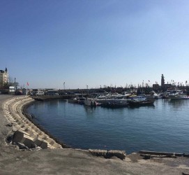 新沂大连旅游攻略(大连旅游攻略自由行)